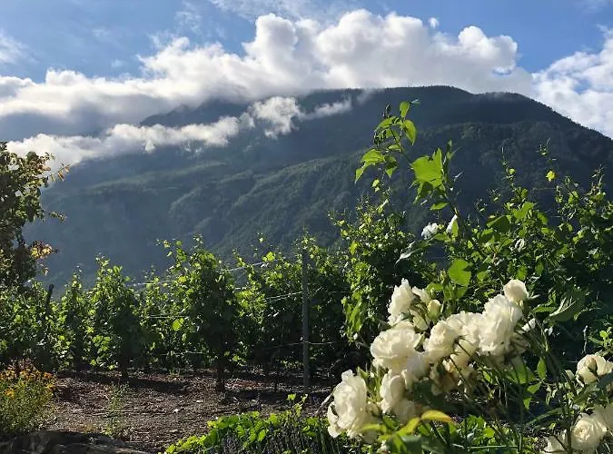 Chantevent Bed & Breakfast 3*