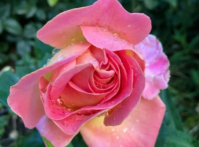 Chantevent Bed & Breakfast 3*