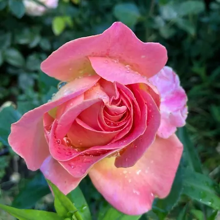 Chantevent Bed & Breakfast 3*